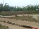 xtm racing monster truck vs team losi