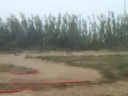 xtm racing monster truck vs team losi