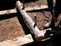 Mushroom Logs