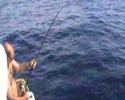 Guarda video