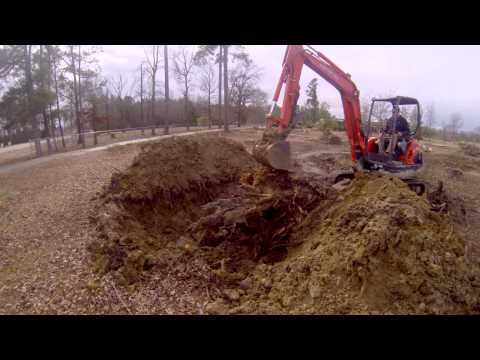 Digging out a Pine Stump