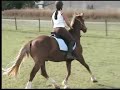 C�cile et jacadi