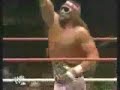 Randy Savage Custom TitanTron