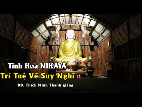 Tinh Hoa NIKAYA – Trí Tuệ Về Suy Nghĩ 1A