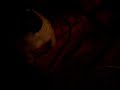 stitch und der f�n
