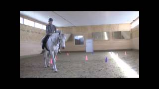 The Joy of a Clicker Trained Horse
