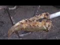 A new series showing some campfire cooking techniques. Part 1 goes over basic fire setup and equipment and shows some 