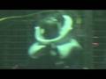 videos de Deep cage shark dive