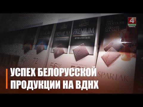 Мноства сустрэч і наведванне значных мерапрыемстваў. Рабочую паездку здзяйсняе дэлегацыя Гомельшчыны на чале з губернатарам видео