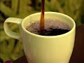  Coffee Farming Kona Hawaii