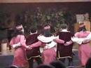 Hamazkayin Arax Dance Ensemble of Metro Detroit My07AA