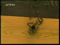 Zdenek Izer - Sranda 20.avi