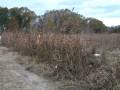 videos de A & S Preserve Guided Bird Hunt
