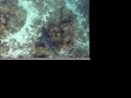 Honduras Video