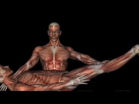 how to perform slr test