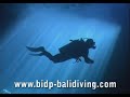 Silhouette Underwater Video Clip Silhouette Underwater Video Clip