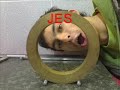 colegio jesuitas 2m1 colegio jesuitas 2m1