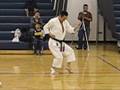 videos de Yamaguchi-sensei demonstrating different stances