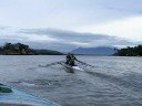 N�utico Brasil Remo