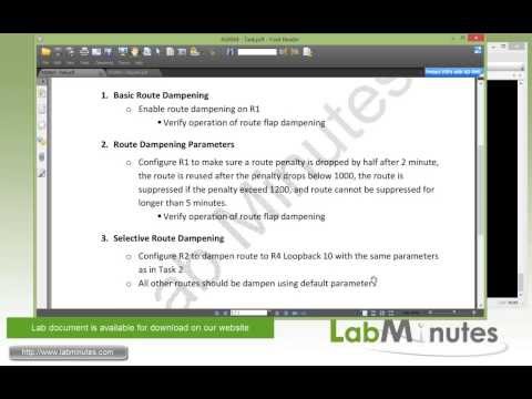 how to troubleshoot bgp flapping