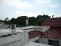 Menudo aguacero en el centro de Hermosillo