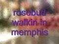 videos de rosebud walkin in memphis.avi