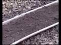 Serac�l�k