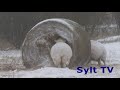 Sylt im Schnee, weiße Winter - Weihnachtsinsel