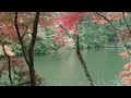 秋深まる鎌北湖の紅葉.mts