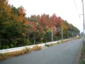 紅葉と西鉄電車