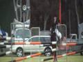 videos de Ferndale Mistral
