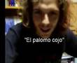 el palomo cojo