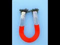 Christian Hill Billy on Chromosome 2