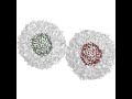 Lipid Vesicle Fusion Simulation from Folding@home
