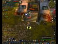Paladin Beow�lf PvP