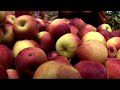 Petite Palate Kitchen, Episode 3 Infant and Toddler Nutrition