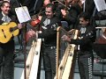 violin huapango mariachi vargas de tecalitlan