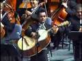 VIOLIN HUAPANGO MARIACHI VARGAS DE TECALITLAN