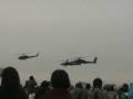 Akeno Air Festival 2008 / Formation Flight
