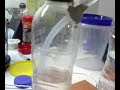 HHO nuevo reactor con electrodos magnéticos en interior de un biberon