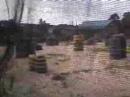 Paintball at Penampang