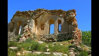 بيتونيا التي تفاجئك بيتونيا التي تفاجئك