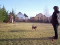 Doki cuccokat hurcib�l