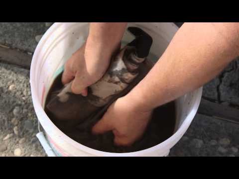 how to make snap solution for hydroponics