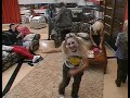 Momento gracioso tras superar la prueba.