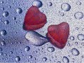 Binario - dal cuore alla testa