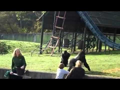 how to help trapped wind