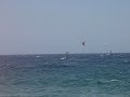 palamos backloop