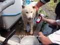 The KAZU TIME Show-IT’S SHAMPOO TIME!