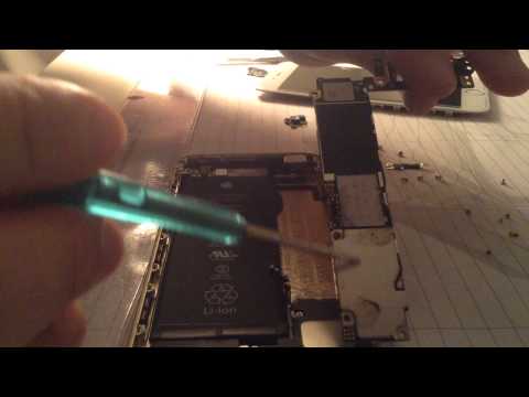 how to repair water damaged iphone